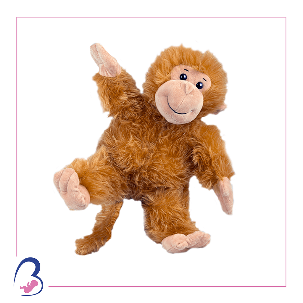 Monkey Heartbeat Bella Bambinos Boutique Imaging