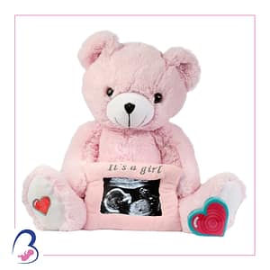 Pink Bear with Frame