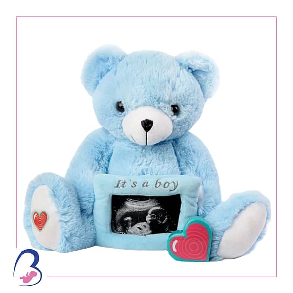 Blue Bear with Frame